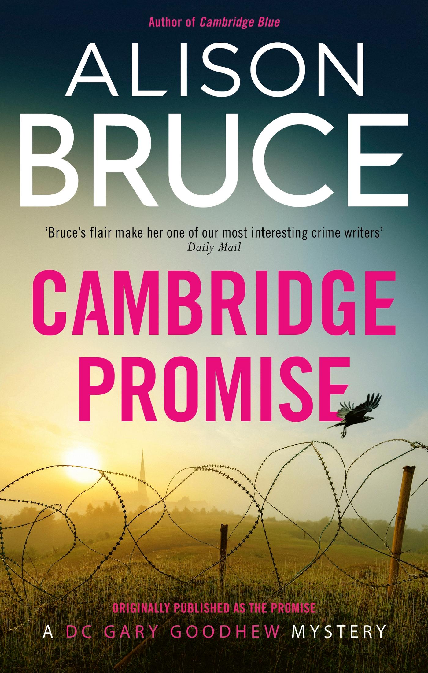Vorderes Coverbild Cambridge Promise