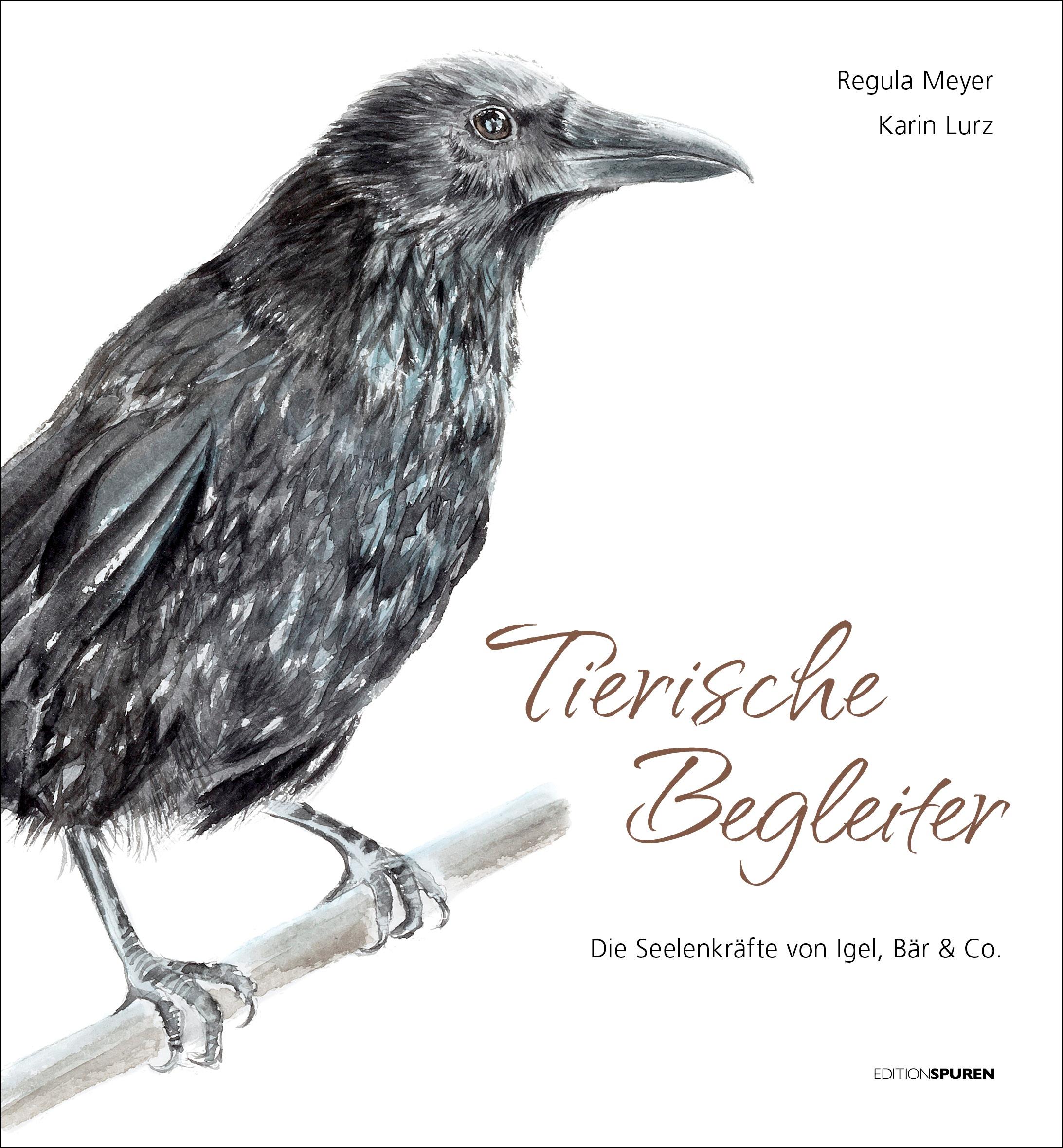 Vorderes Coverbild Tierische Begleiter