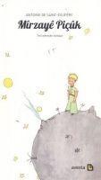 Vorderes Coverbild Mirzaye Picük