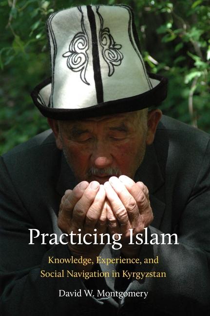 Vorderes Coverbild Practicing Islam