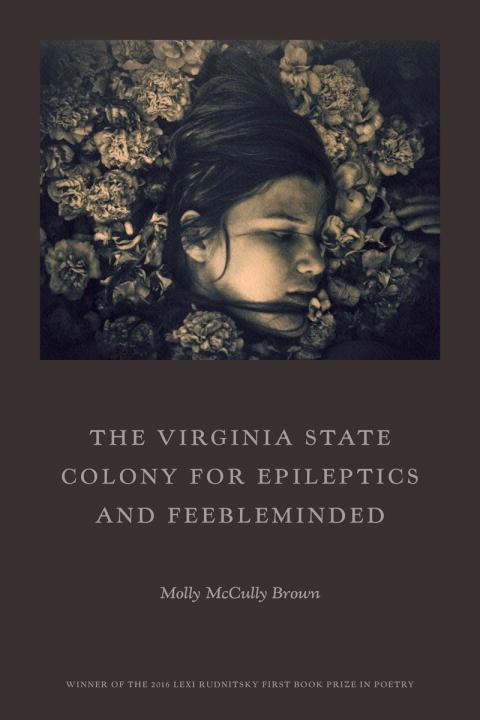 Vorderes Coverbild The Virginia State Colony for Epileptics and Feebleminded