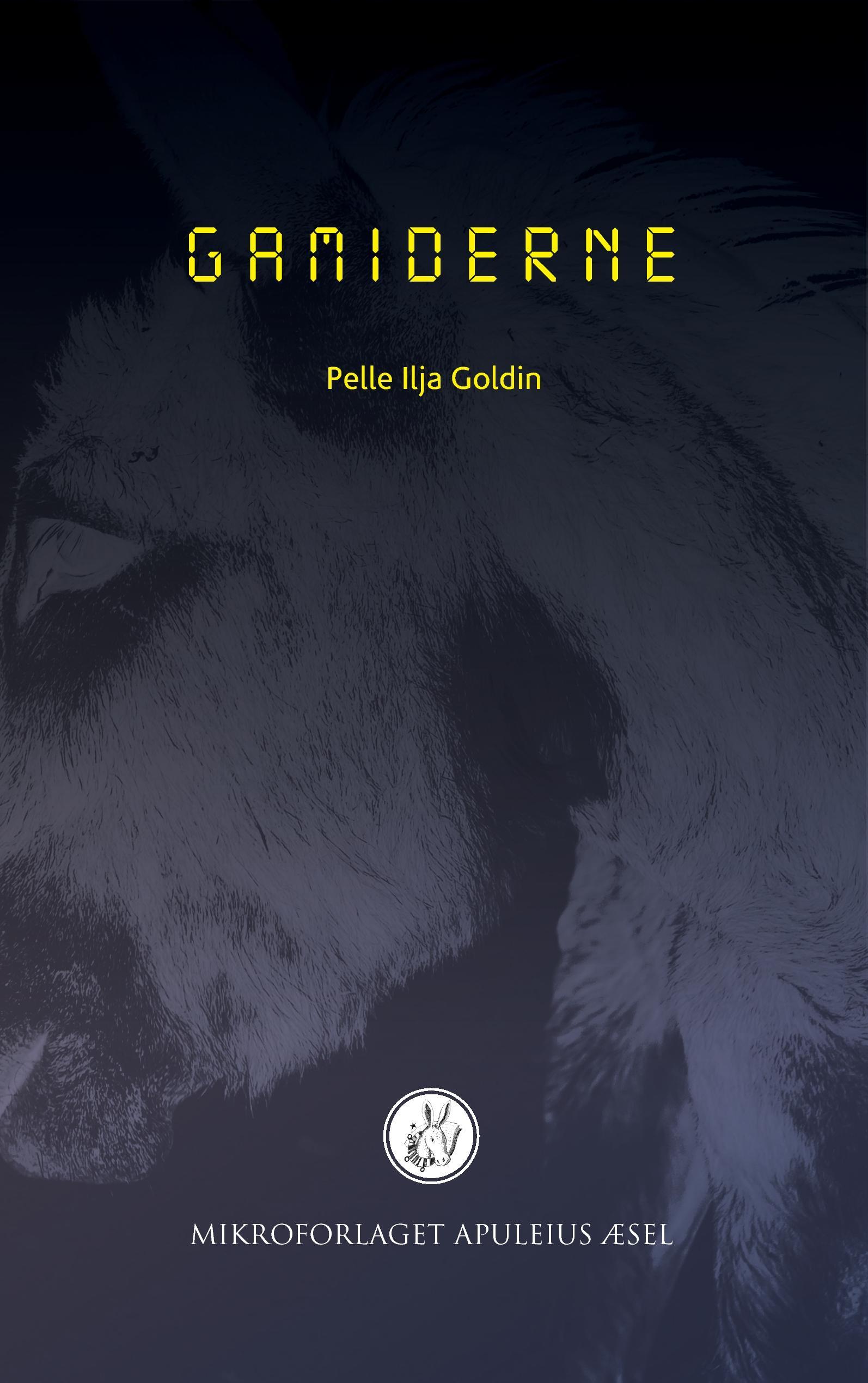 Vorderes Coverbild Gamiderne