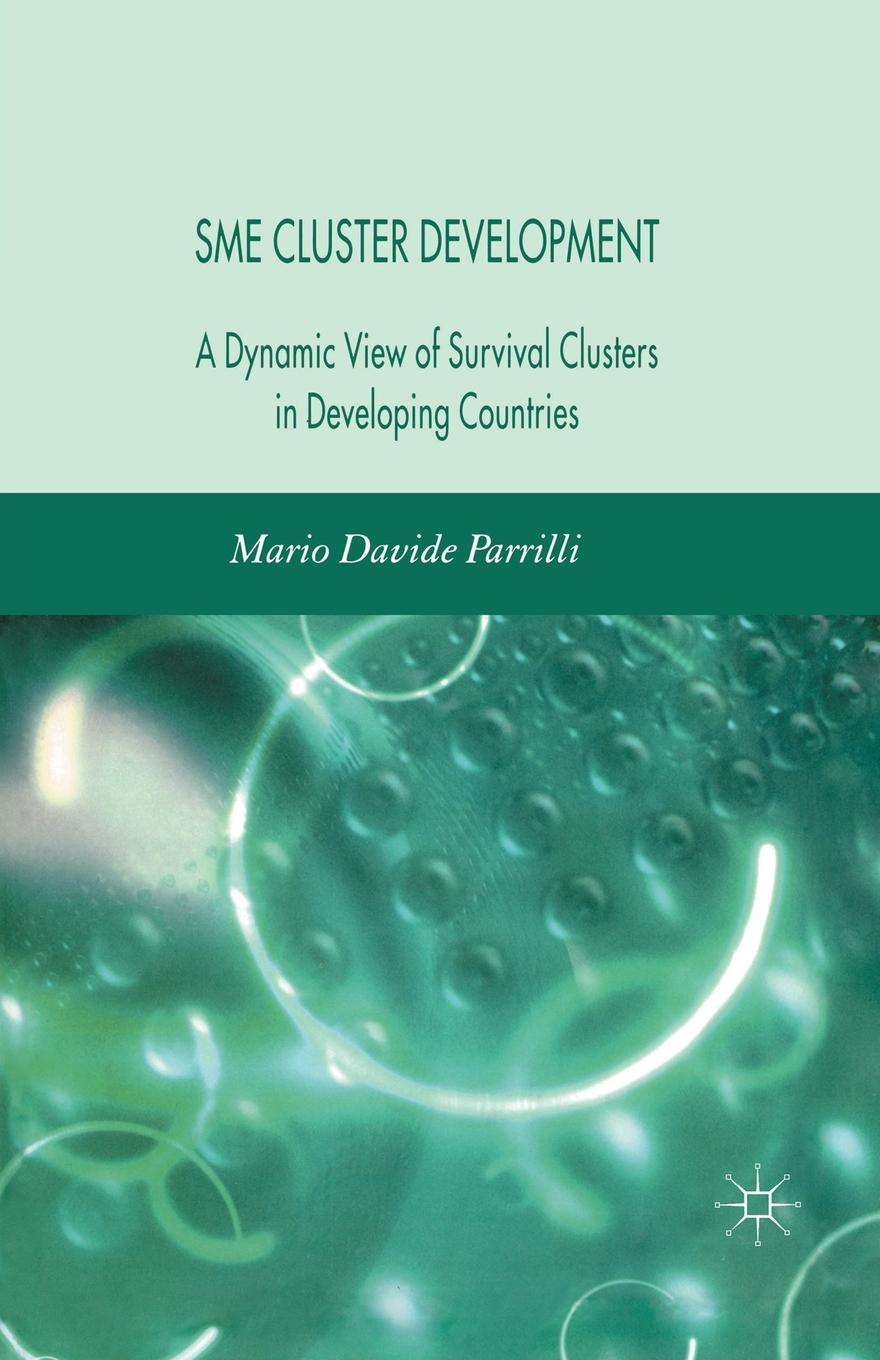 Vorderes Coverbild Sme Cluster Development