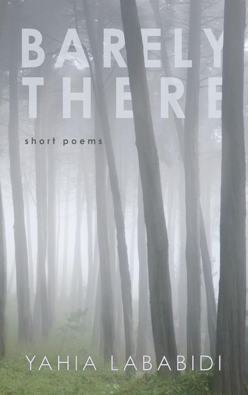 Vorderes Coverbild Barely There