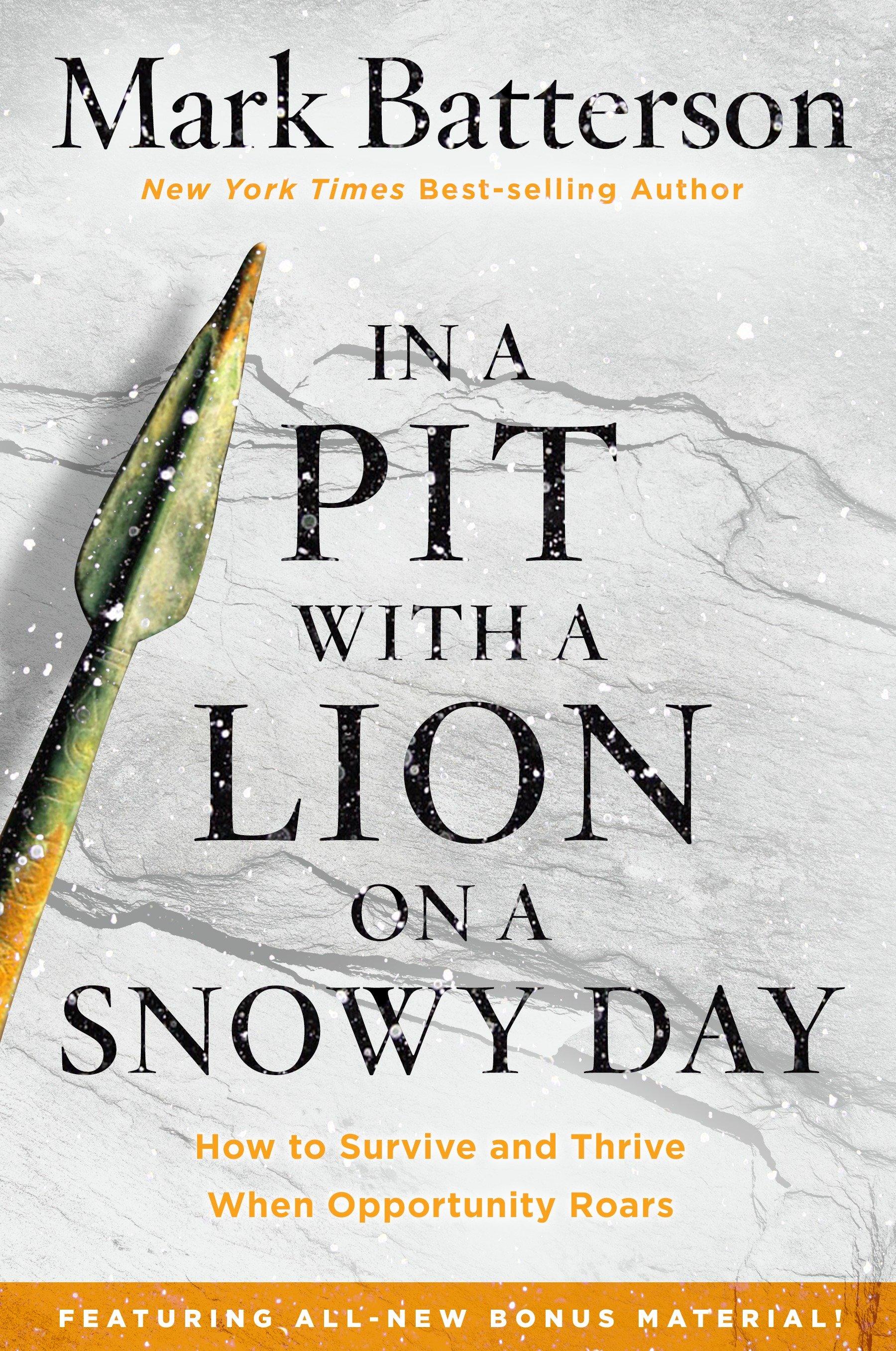 Vorderes Coverbild In a Pit with a Lion on a Snowy Day