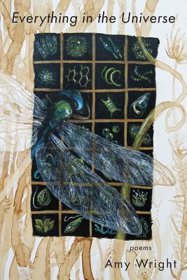 Vorderes Coverbild Everything in the Universe