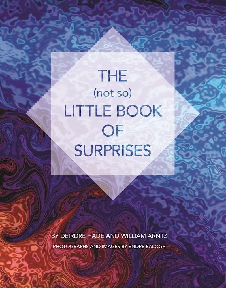 Vorderes Coverbild The (Not So) Little Book of Surprises
