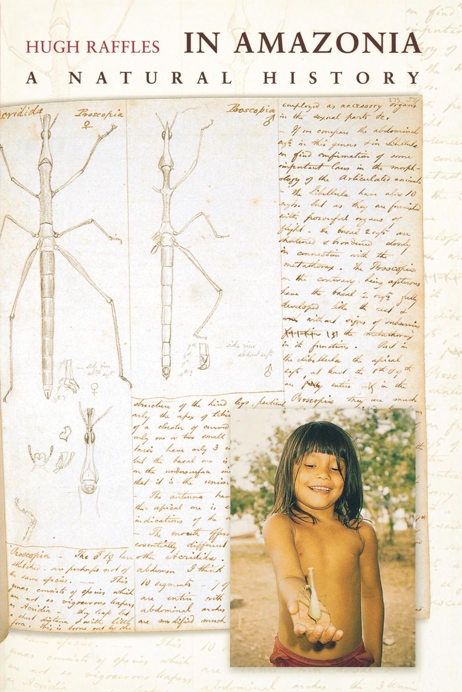 Vorderes Coverbild In Amazonia