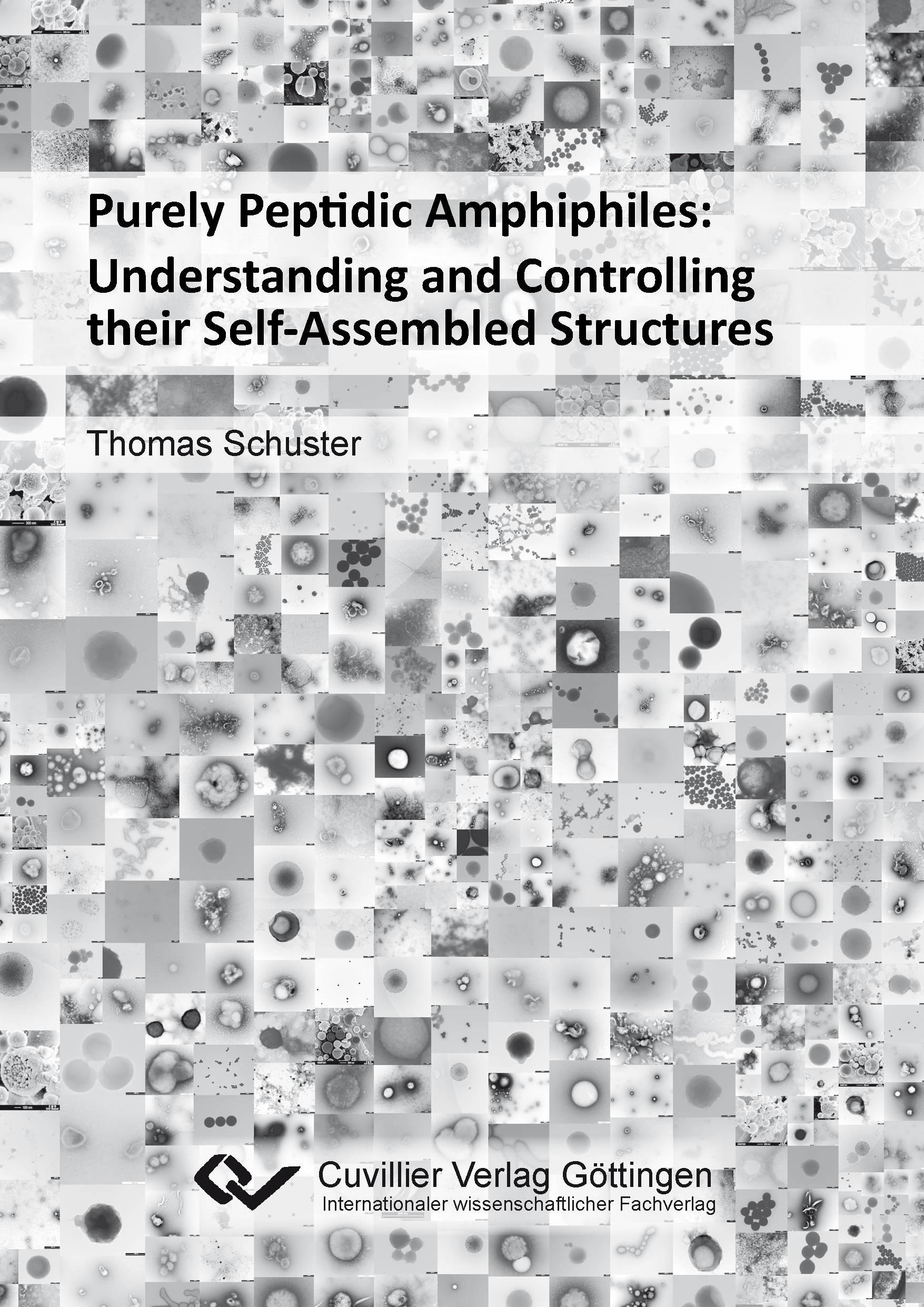 Vorderes Coverbild Purely Peptidic Amphiphiles: Understanding and Controlling their Self-Assembled Structures