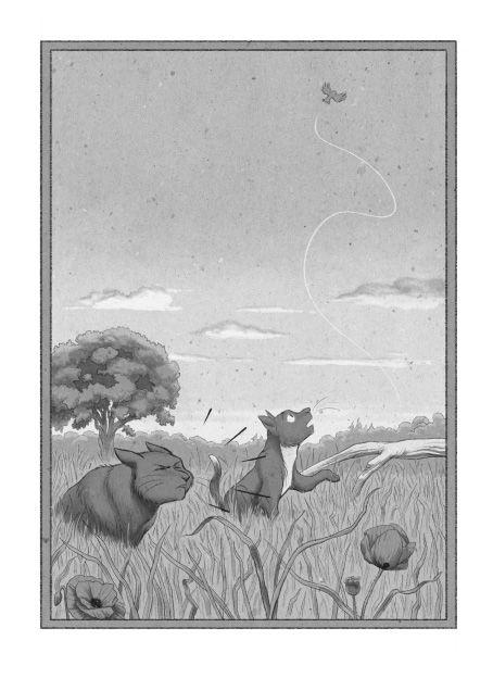 Beispielinhalt (Bild) Othello & Giovanni - Der große Katzen-Raub