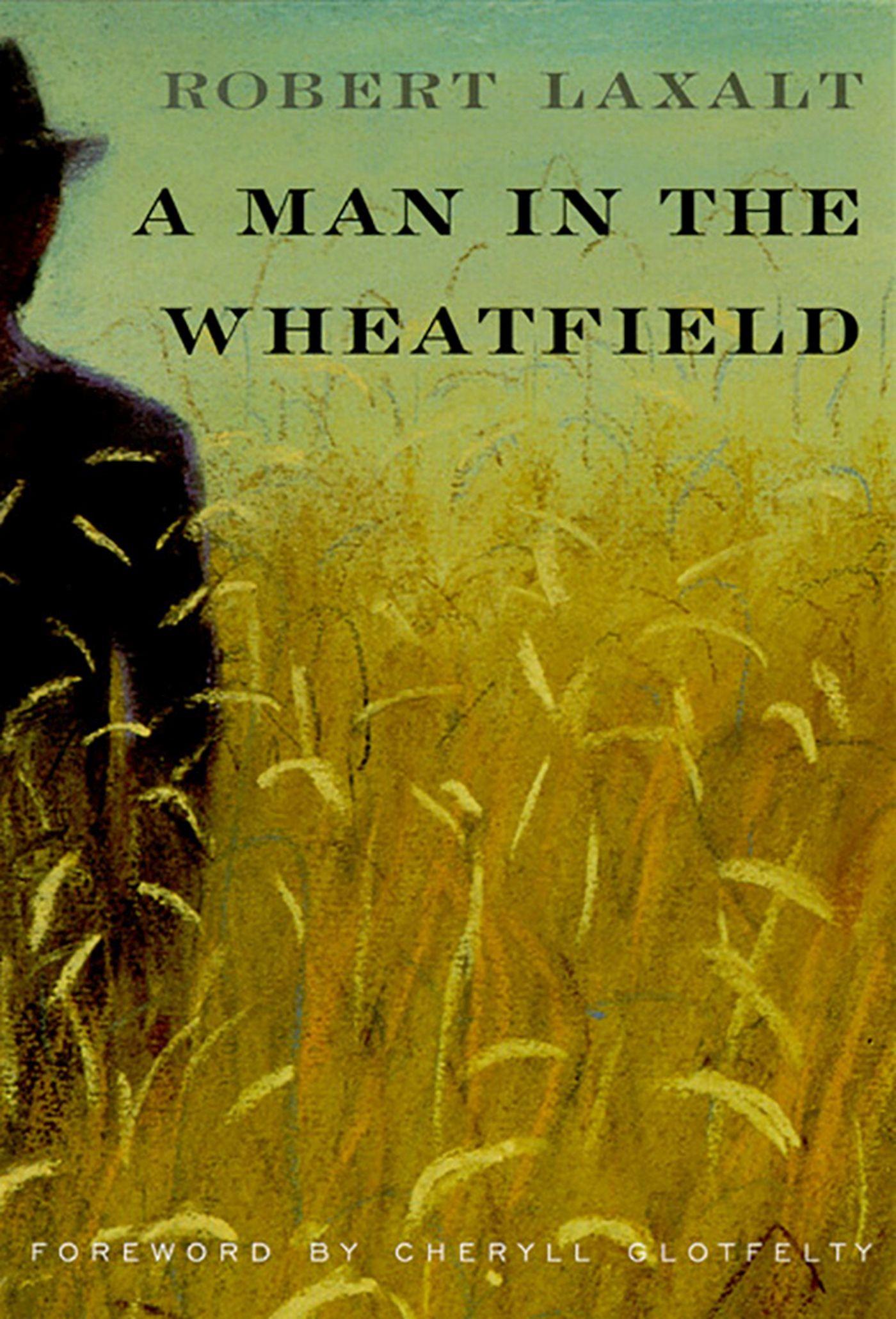 Vorderes Coverbild A Man in the Wheatfield