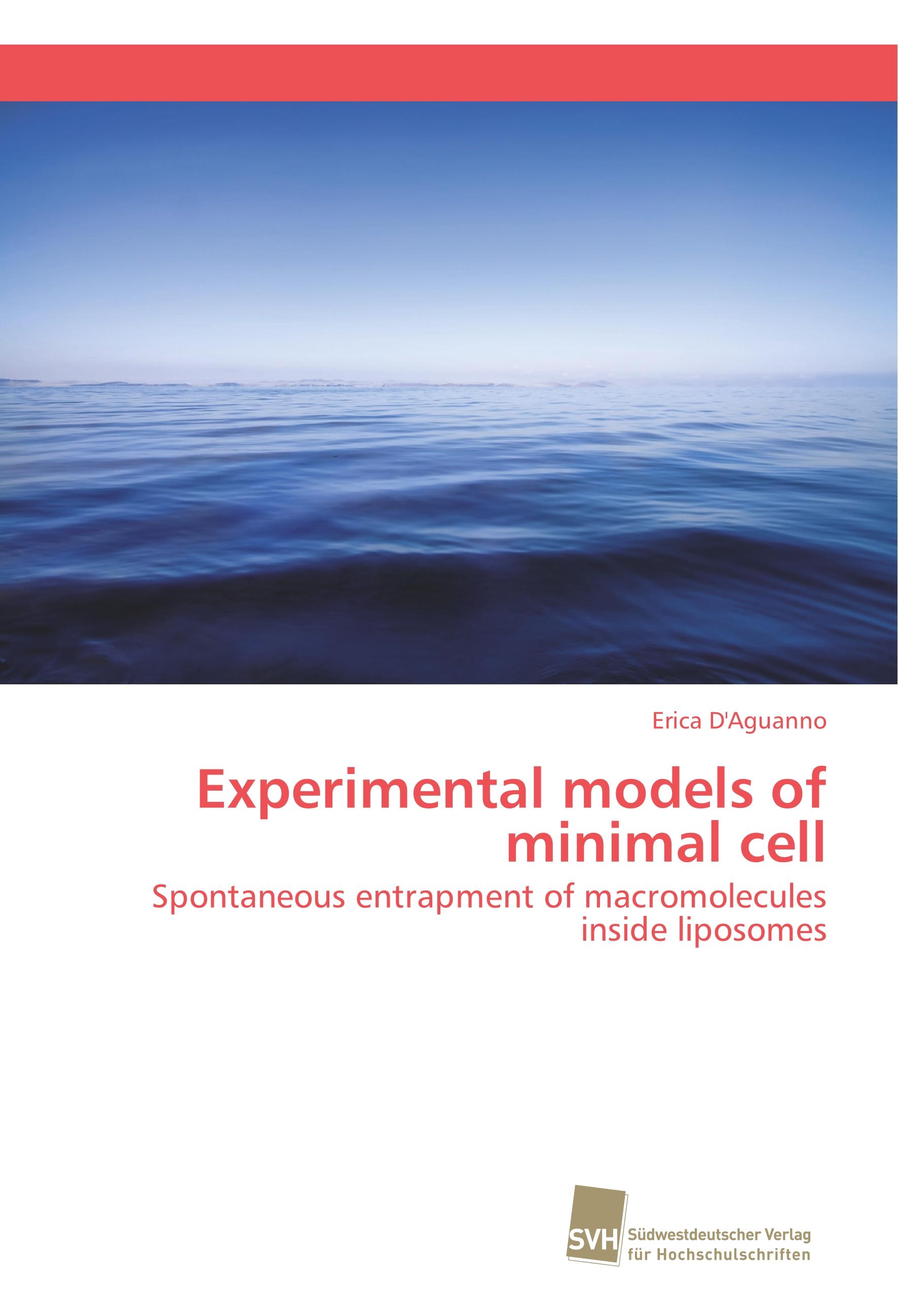 Vorderes Coverbild Experimental models of minimal cell