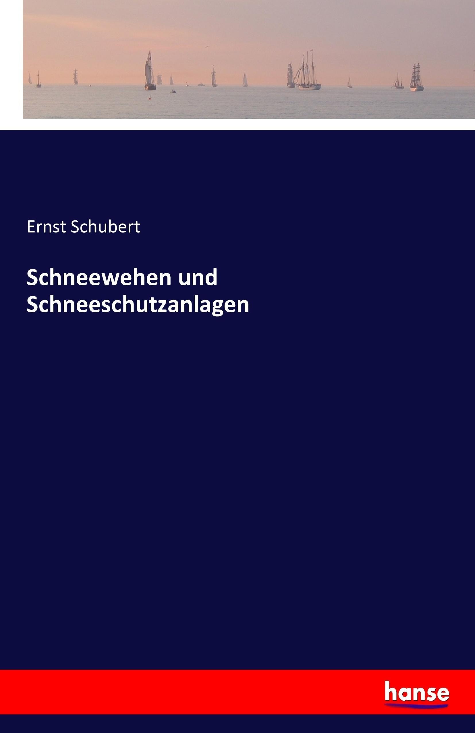 Vorderes Coverbild Schneewehen und Schneeschutzanlagen