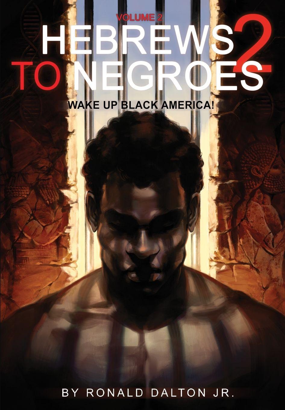 Vorderes Coverbild Hebrews to Negroes 2