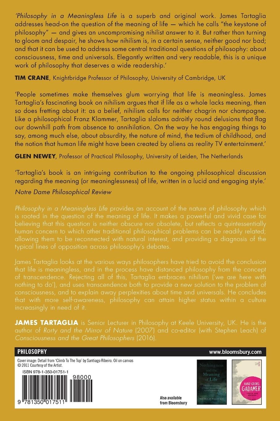 Rückseitencover Philosophy in a Meaningless Life