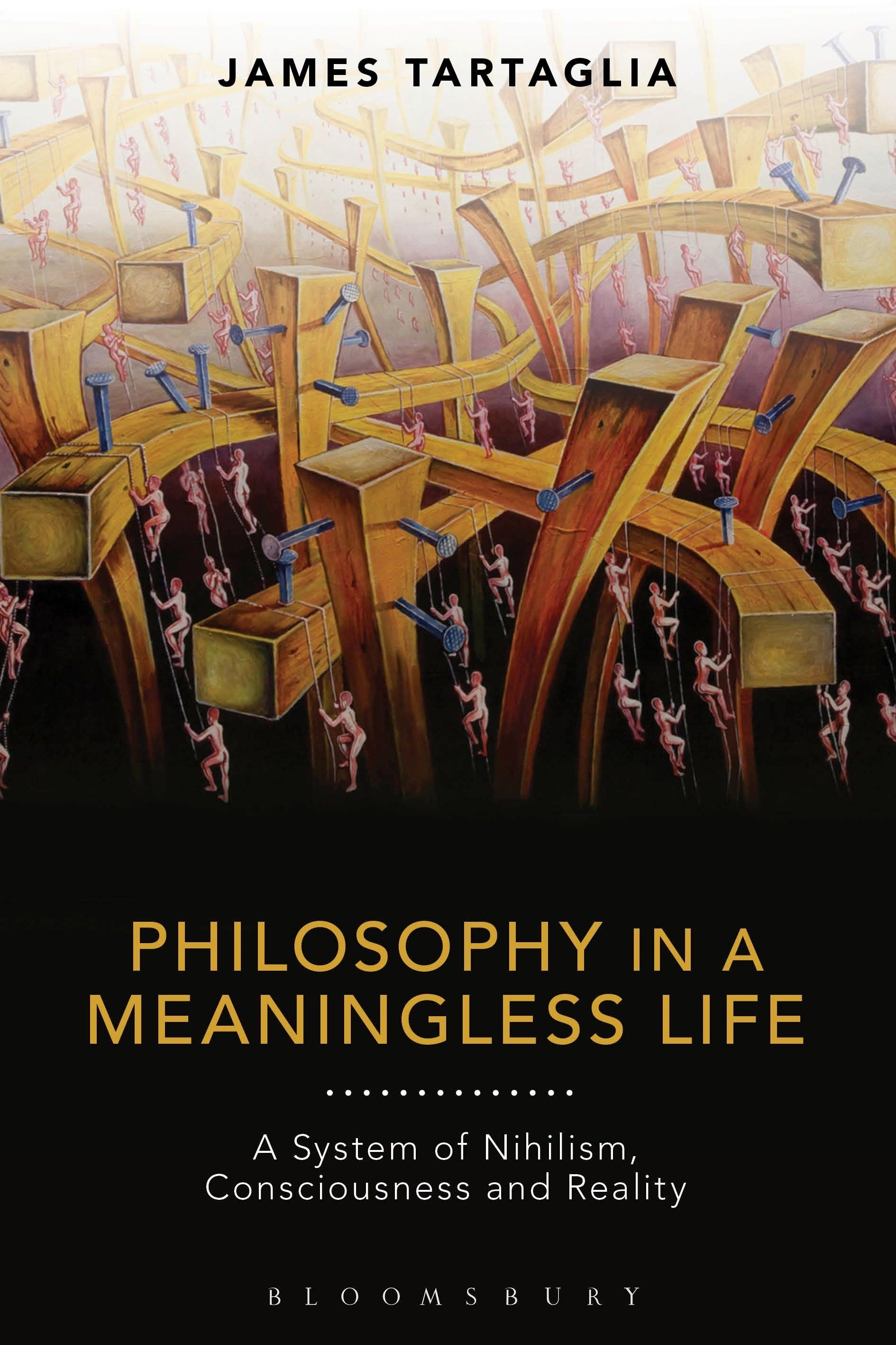 Vorderes Coverbild Philosophy in a Meaningless Life