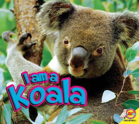 Vorderes Coverbild I Am a Koala