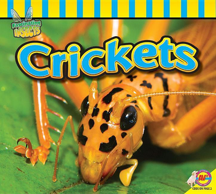 Vorderes Coverbild Crickets
