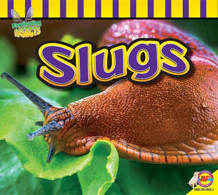 Vorderes Coverbild Slugs
