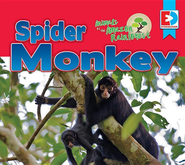 Vorderes Coverbild Animals of the Amazon Rainforest: Spider Monkey