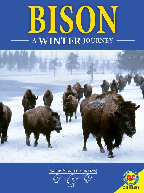 Vorderes Coverbild Bison: A Winter Journey