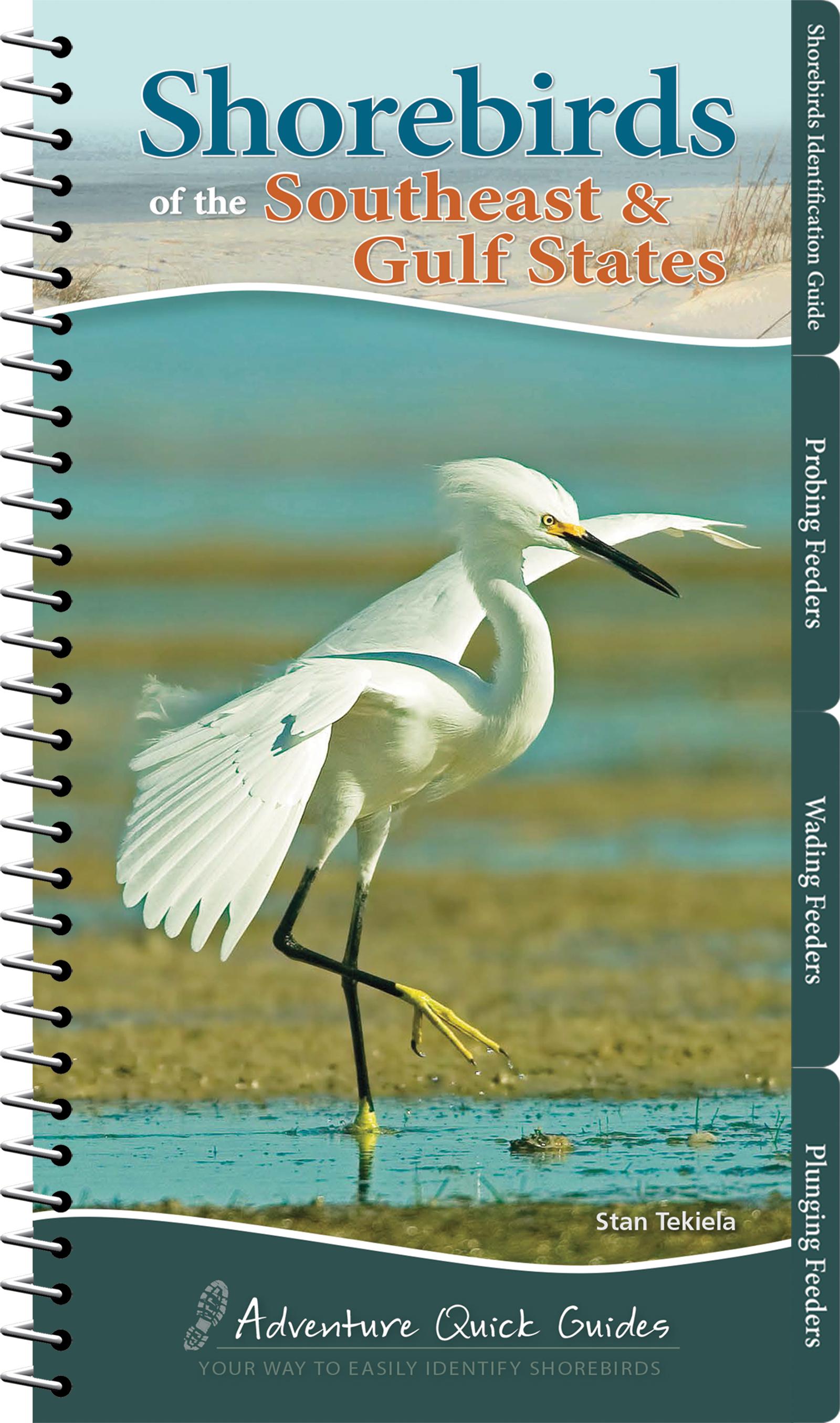 Vorderes Coverbild Shorebirds of the Southeast & Gulf States