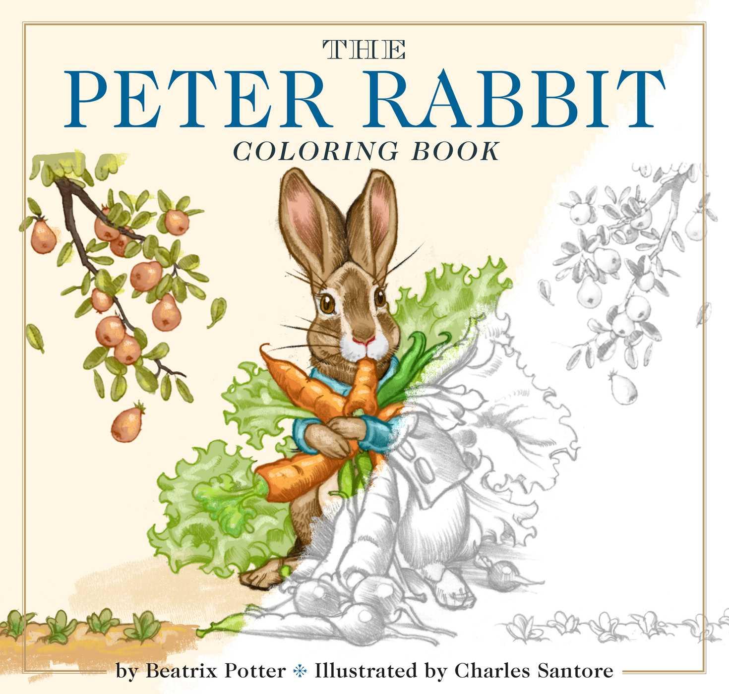 Vorderes Coverbild The Peter Rabbit Coloring Book