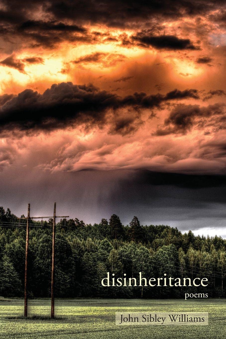 Vorderes Coverbild Disinheritance