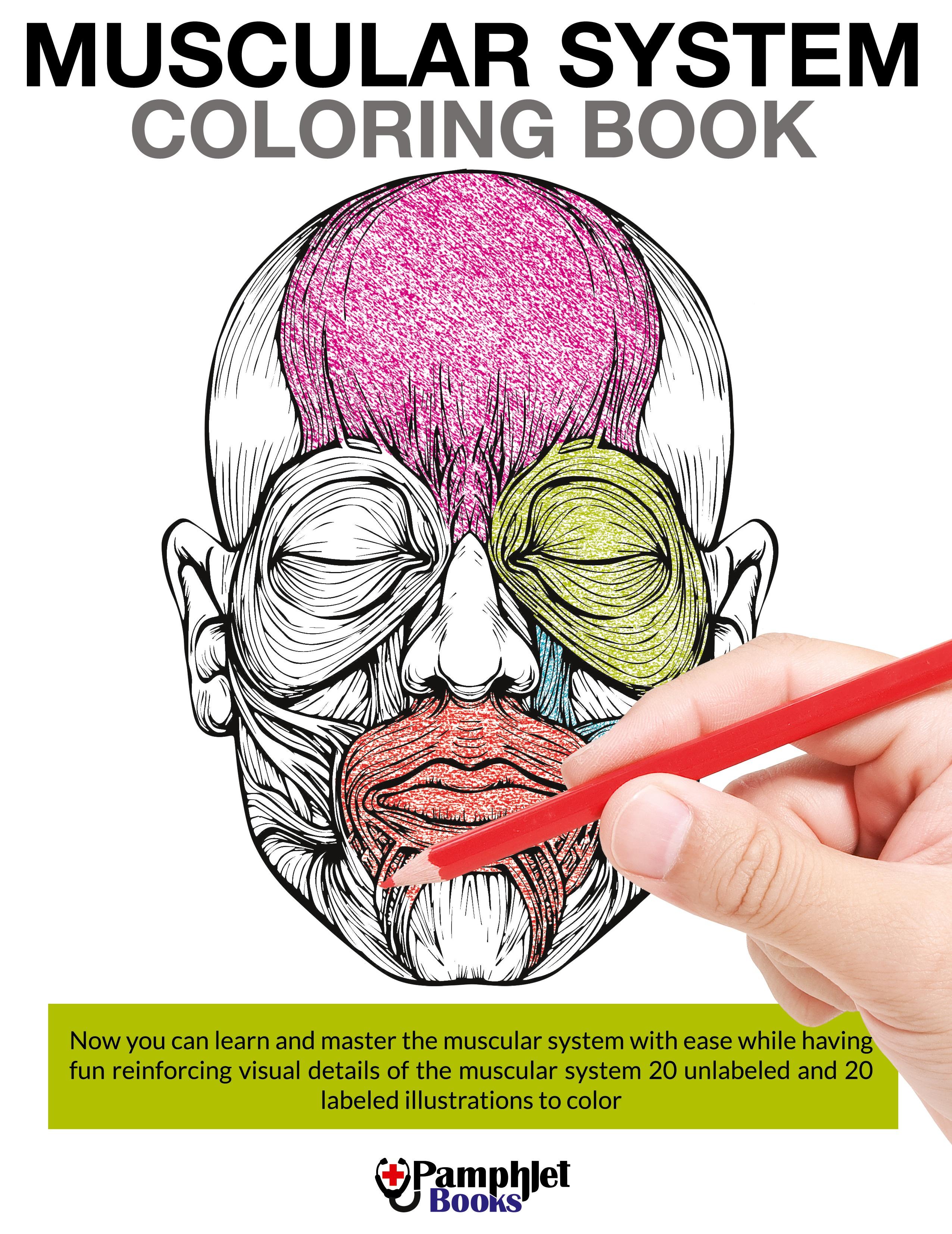 Vorderes Coverbild Muscular System Coloring Book