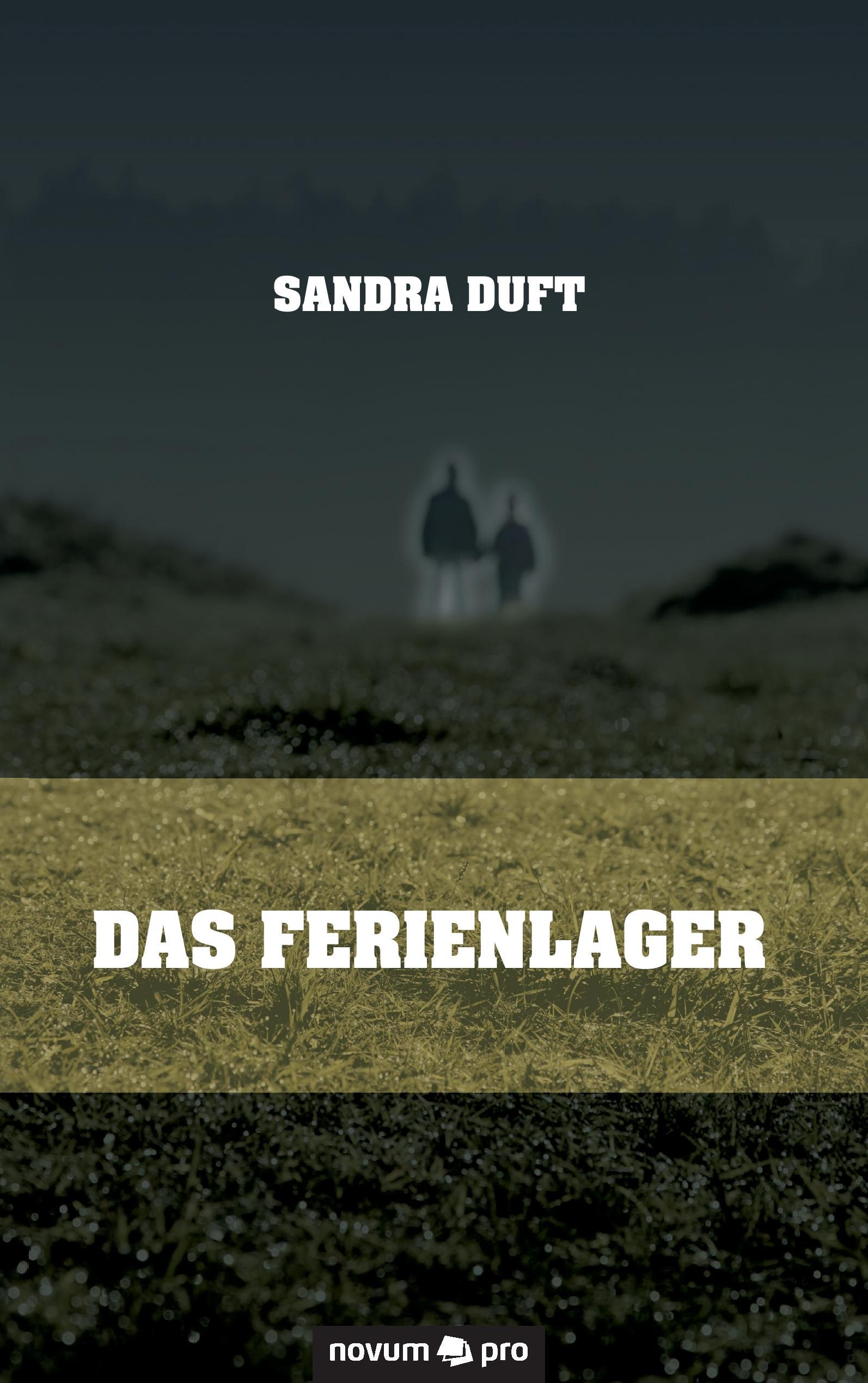 Vorderes Coverbild Das Ferienlager