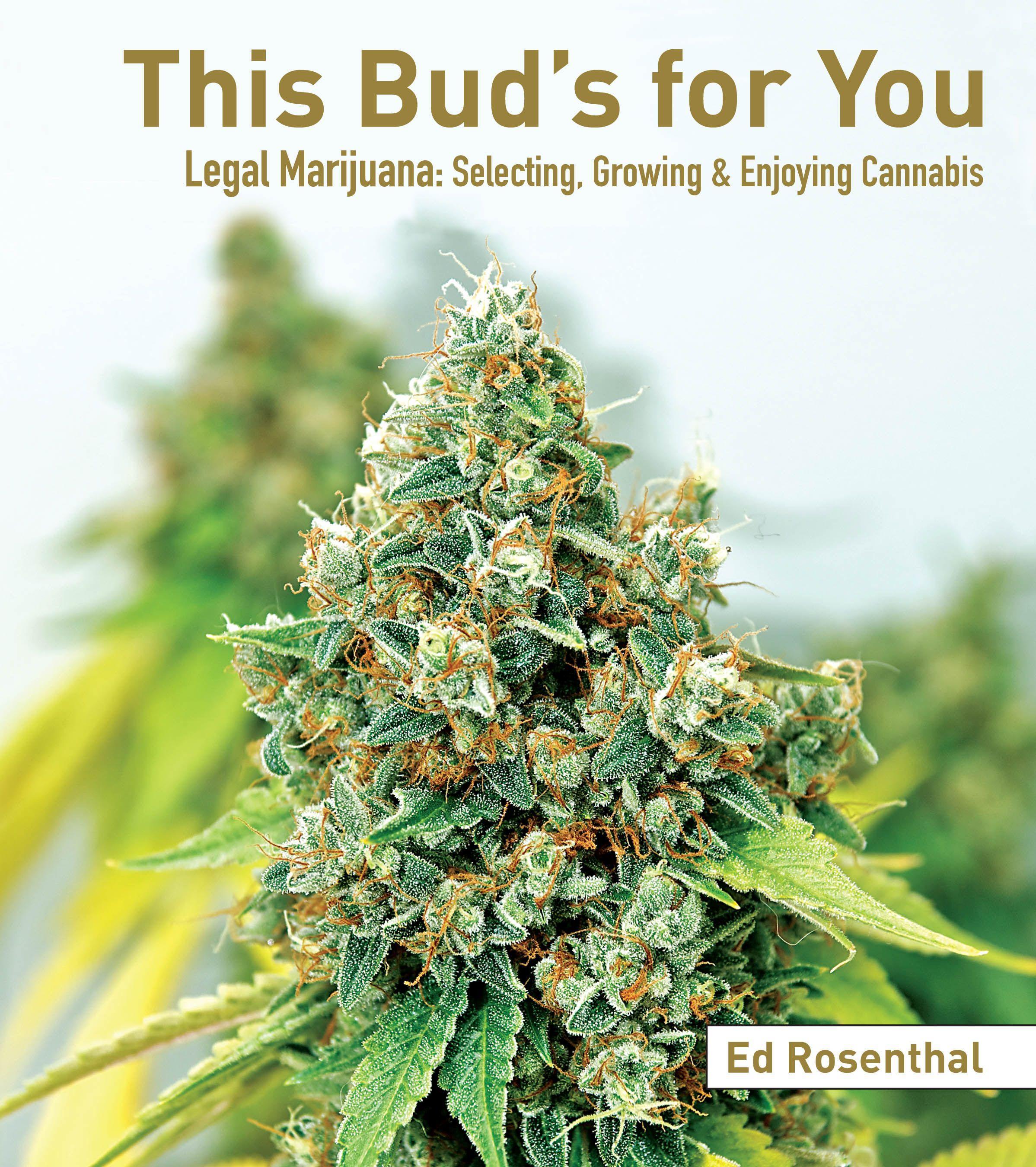 Vorderes Coverbild This Bud's for You