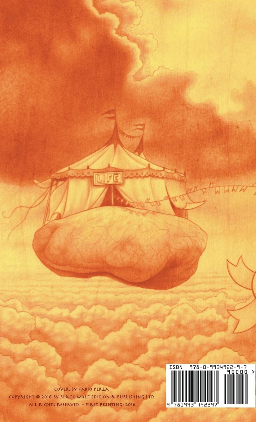Rückseitencover The Everyday Circus