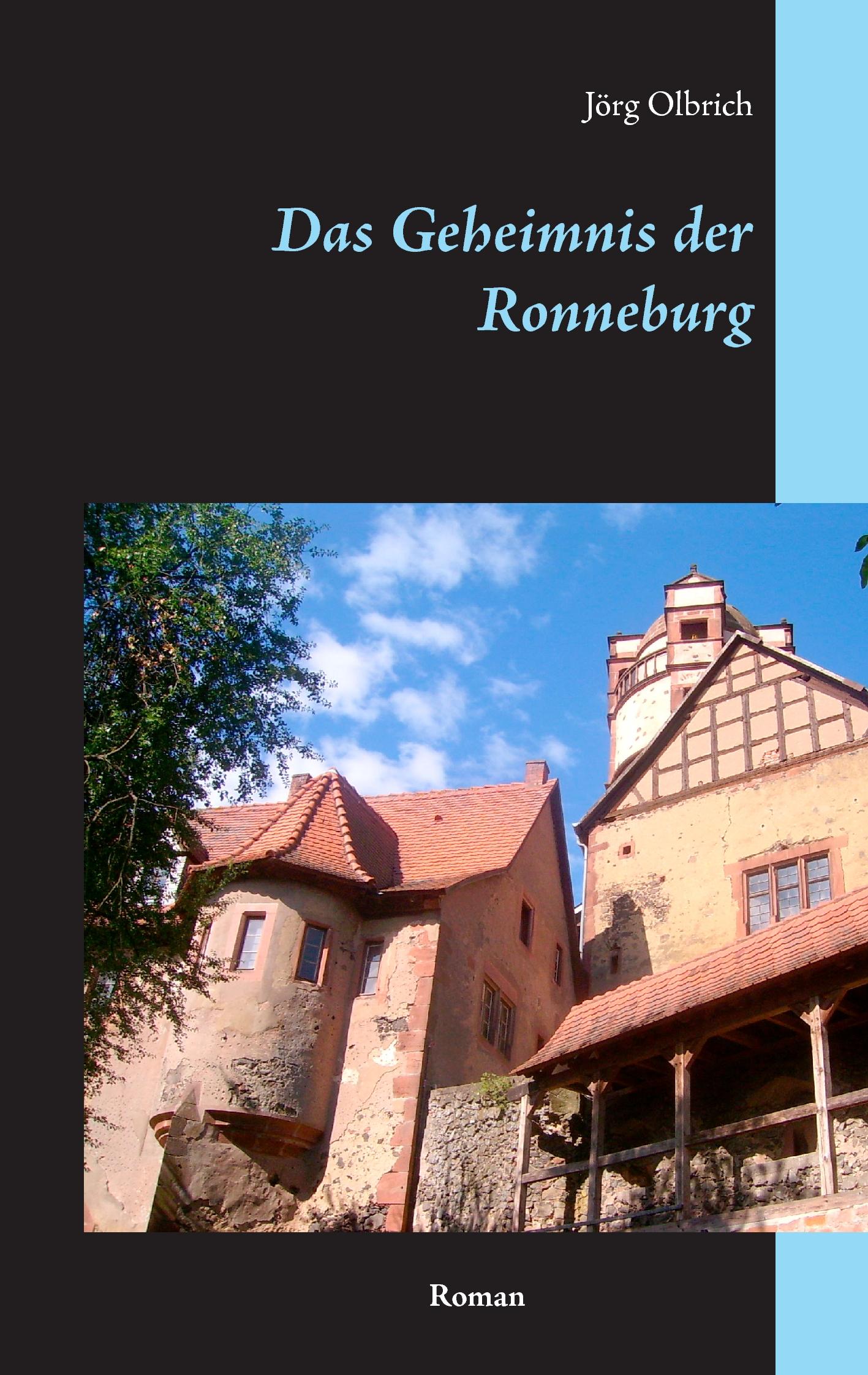Vorderes Coverbild Das Geheimnis der Ronneburg