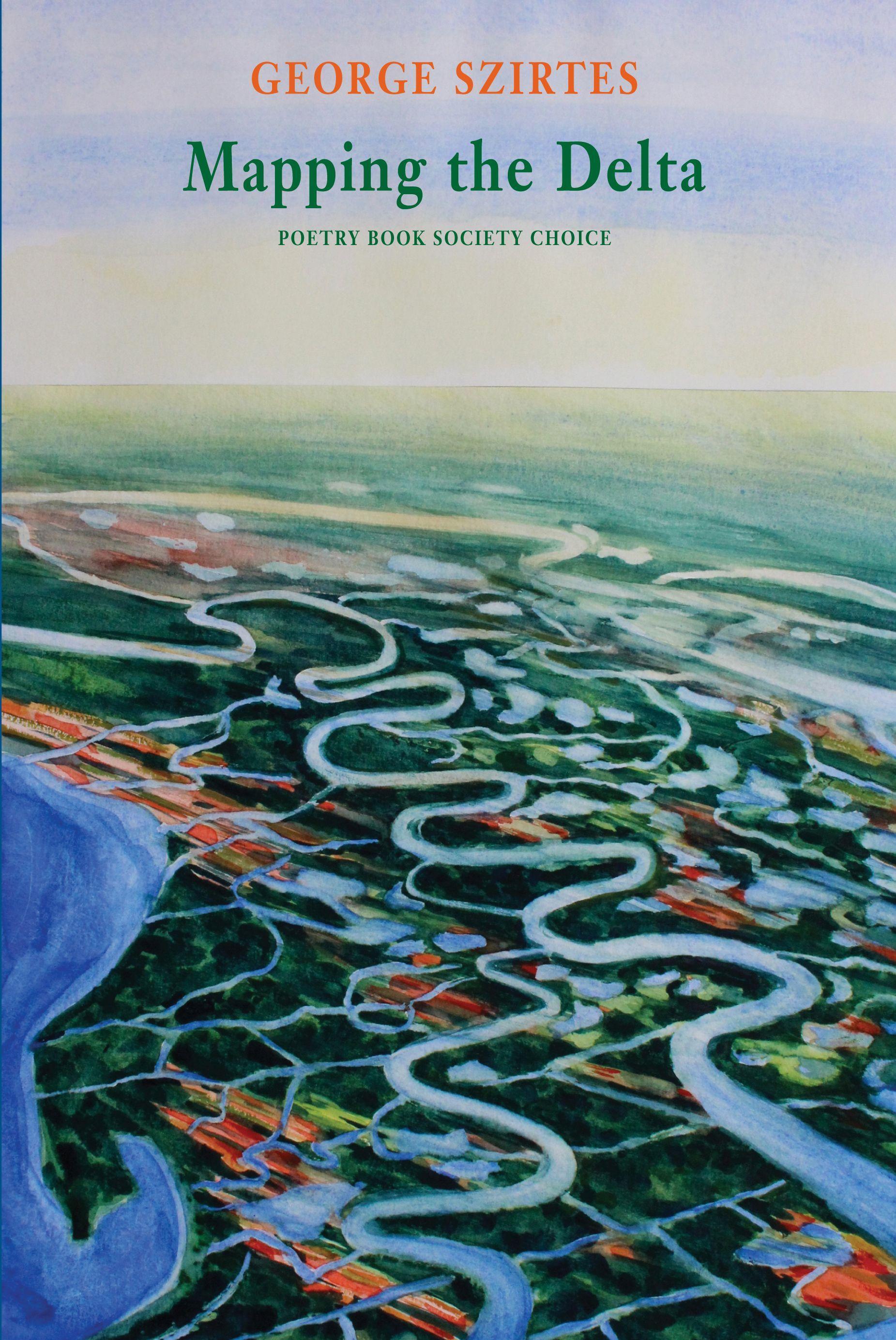 Vorderes Coverbild Mapping the Delta