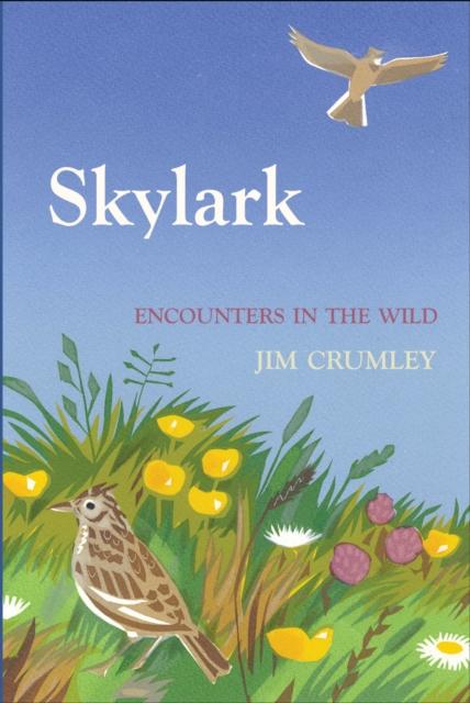 Vorderes Coverbild Skylark