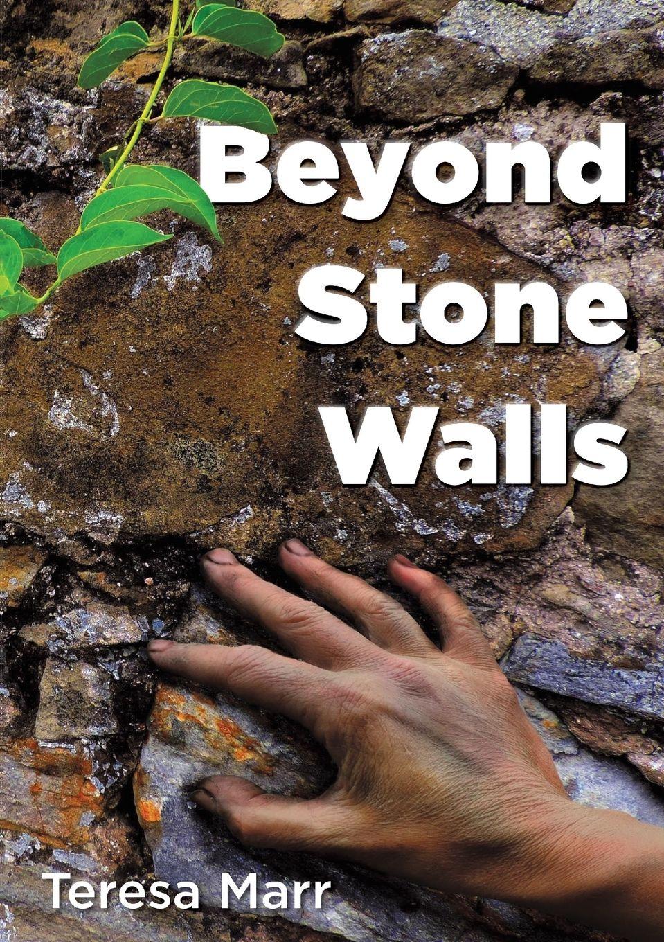 Vorderes Coverbild Beyond Stone Walls
