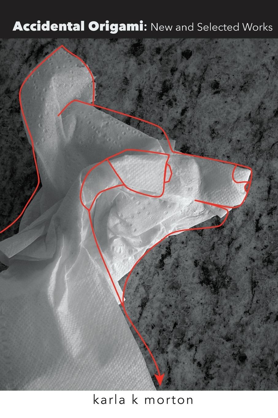 Vorderes Coverbild Accidental Origami