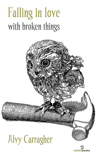 Vorderes Coverbild Falling in Love with Broken Things