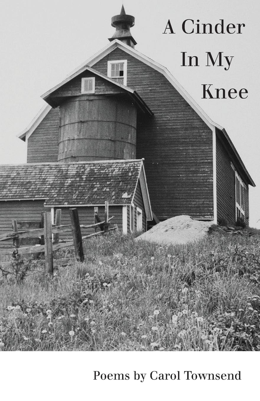 Vorderes Coverbild A Cinder In My Knee