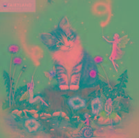 Vorderes Coverbild Fairyland Wall Calendar 2017