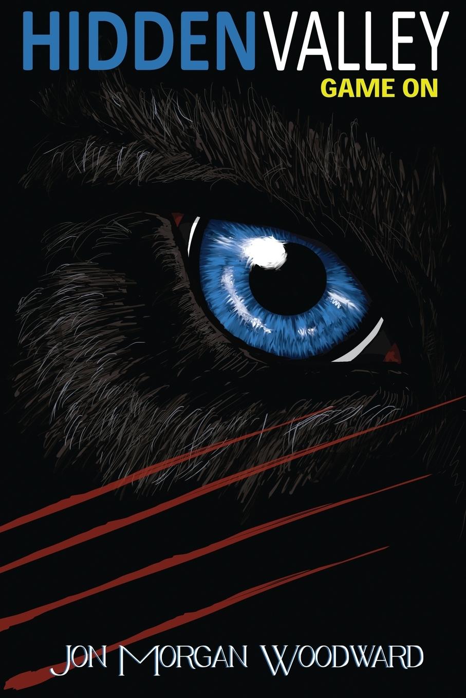 Vorderes Coverbild Hidden Valley