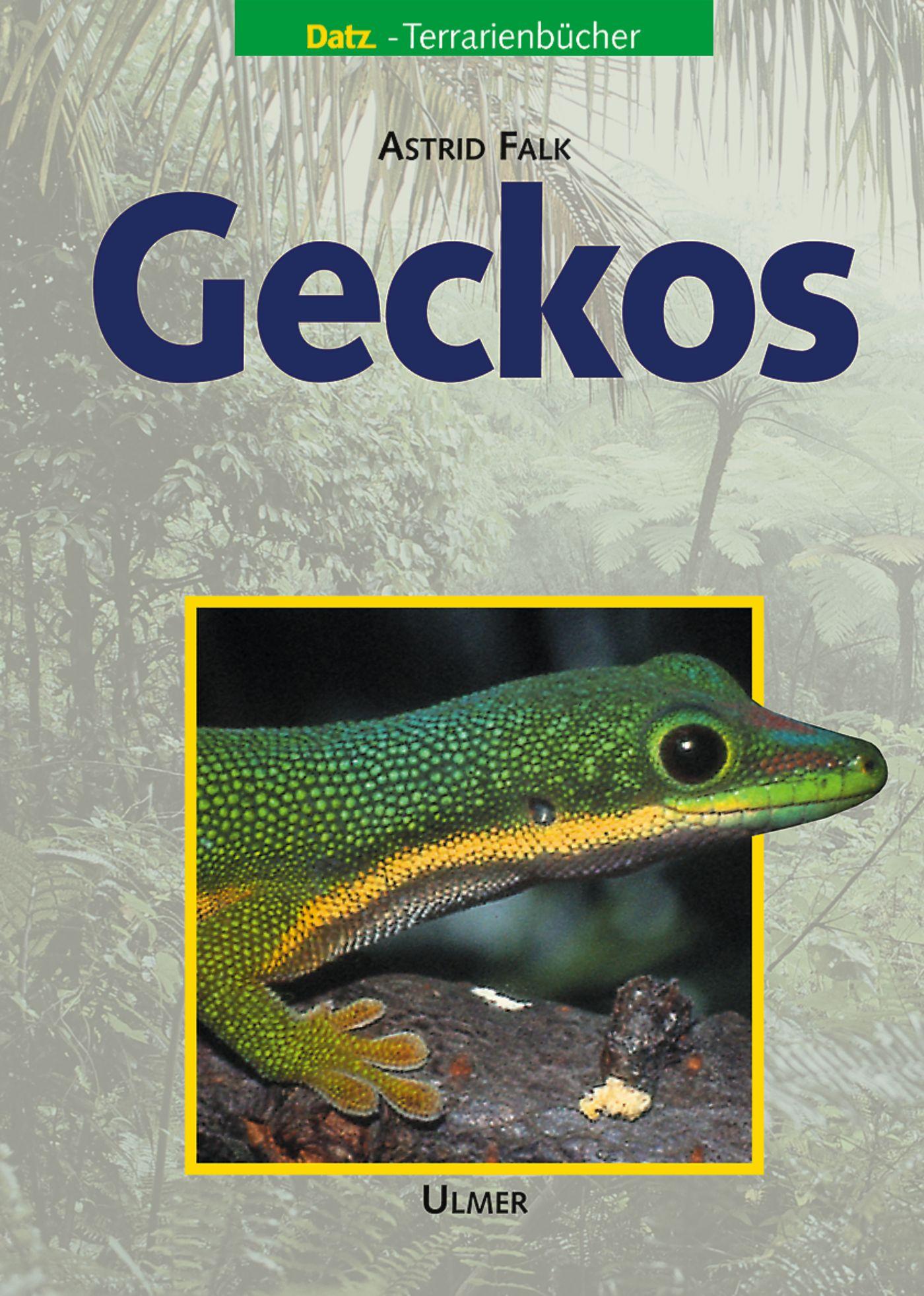 Vorderes Coverbild Geckos