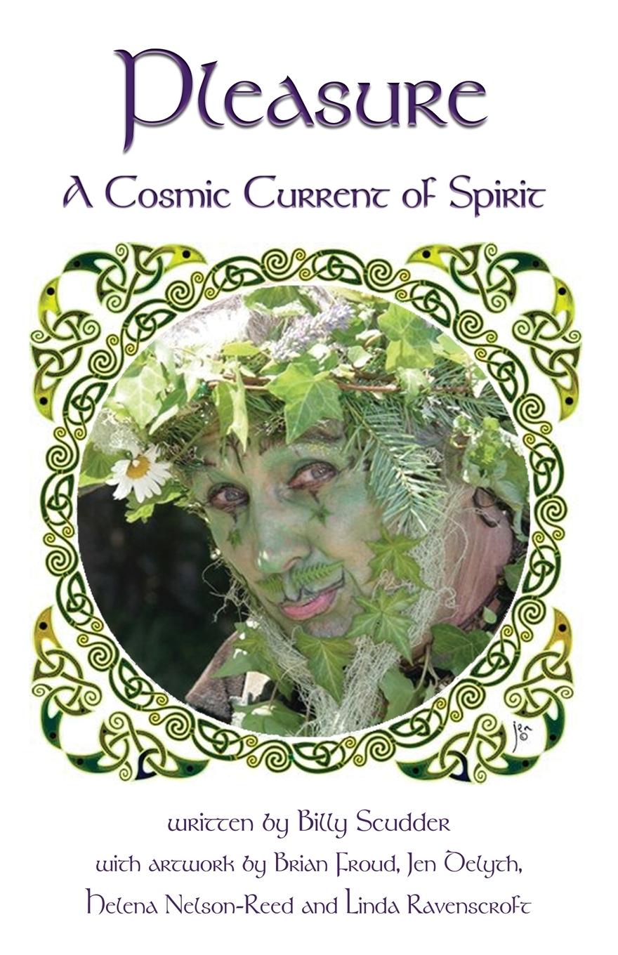 Vorderes Coverbild Pleasure