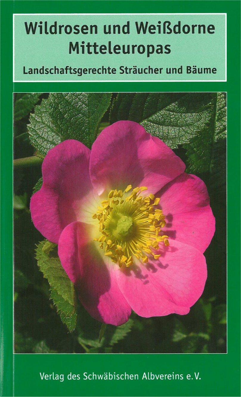 Vorderes Coverbild Wildrosen und Weißdorne Mitteleuropas