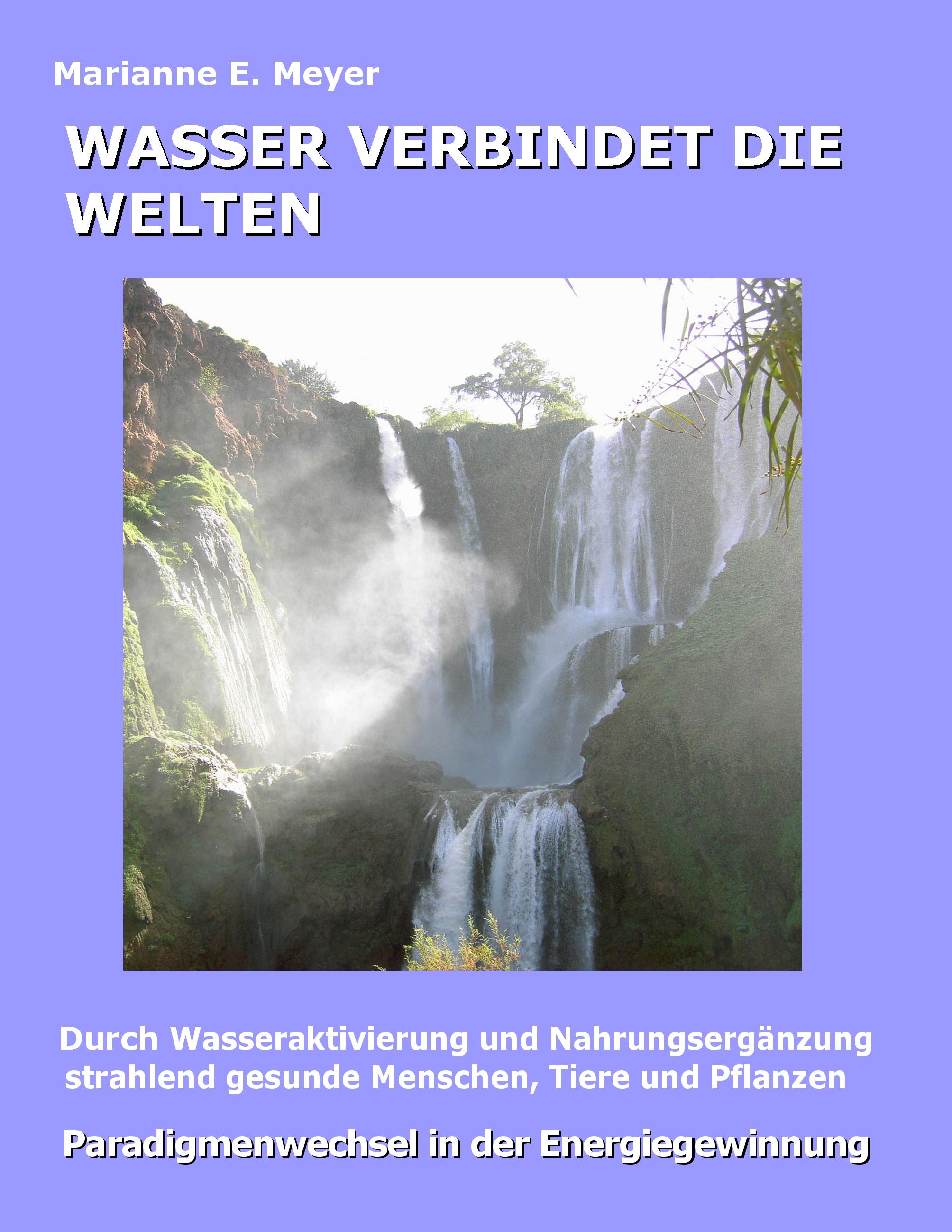 Vorderes Coverbild Wasser verbindet die Welten