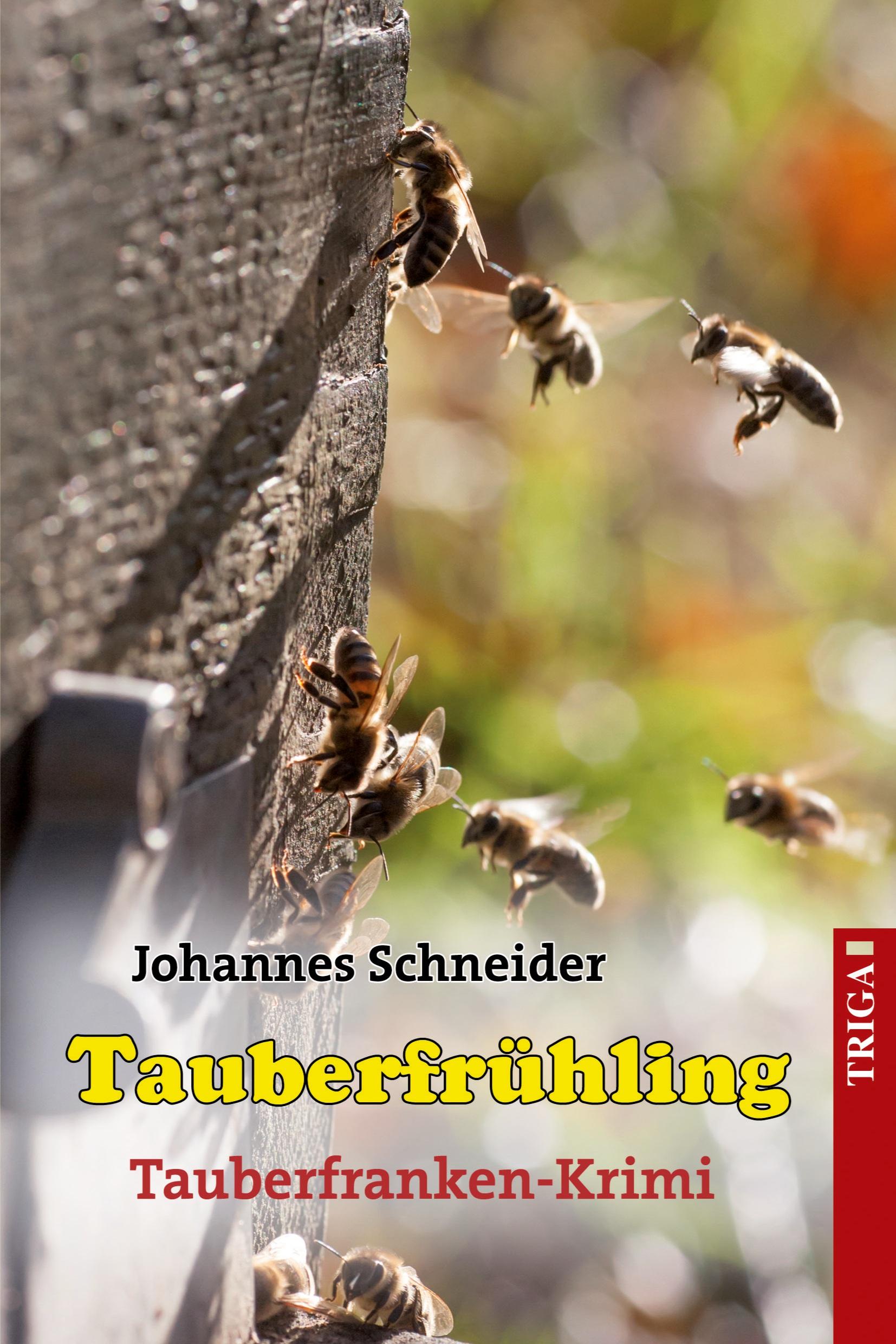 Vorderes Coverbild Tauberfrühling
