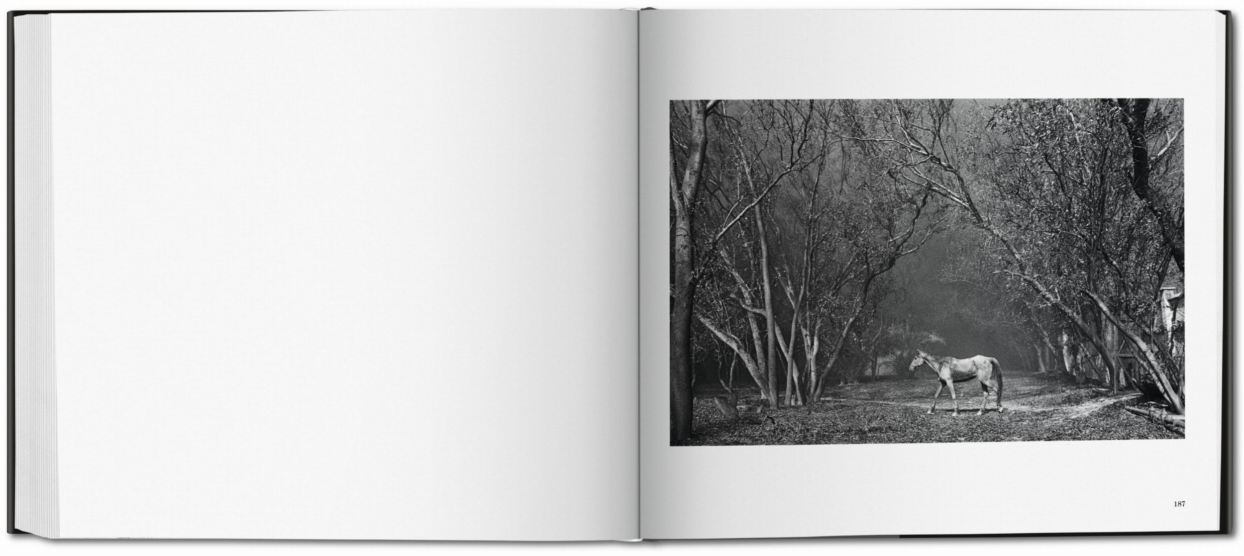 Beispielinhalt (Bild) Sebastião Salgado. Kuwait. A Desert on Fire