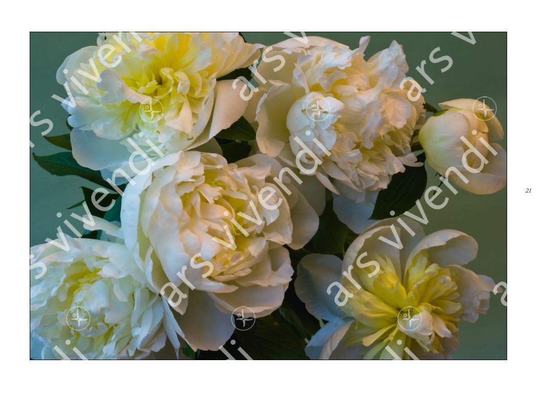 Beispielinhalt (Bild) Poesie der Blumen