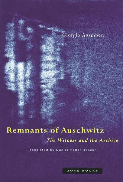 Vorderes Coverbild Remnants of Auschwitz