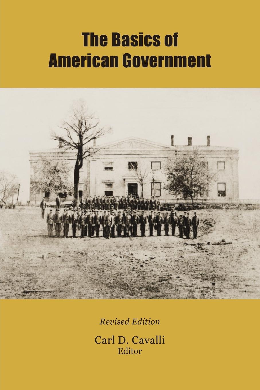 Vorderes Coverbild The Basics of American Government